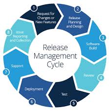 Delivery And Release Management